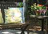The newly decorated back yard is ideal to relax and enjoy a beach drink!