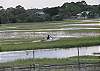 This is the salt marsh and tidal creek view from the top deck. This is high spring tides.