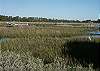This is the marsh which is out the back of the home. There is no access to the marsh, but certainly great views from the bedroom and the side view from the front porch. Excellent bird watching.