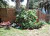 Our beautiful backyard.
