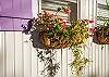 Window box details; cottage perfect!