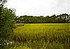 We overlook the magical salt marsh. Bird watching, the sounds of the oysters clacking, the wind blowing thru the spartina grass- all parts of the sounds of Crabby Pirate
