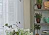 Dining area details.