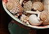 Mermaids, fish and shells are abundant at A Mermaid's Tale Cottage; come experience the magic!