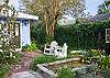 our cottage back yard and fish pond.