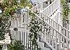 Details of front yard.