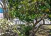 Yard is fully fenced; lots of flowering plants to enjoy!