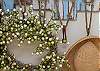Family photos and decor details at Y'all Come Inn.