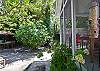 Beautiful yard with flowers, foliage and birds!