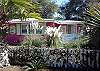 We love constantly improving our cottage with beautiful landscapping!