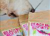 We also supply for our pet visitors Beach Bum Biscuits - all natural dog treats. You can also purchase a bag to take home- proceeds to to supporting our annual sponsorship of a guide dog puppy.