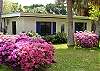 Welcome to our beach cottage! Our flowers are beautiful in the springtime as you can tell.