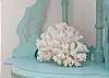 Coral detail on shelf.