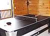 Ping Pong is a great thing for the competetive family to enjoy.