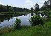 Inquire at the rental office for directions to the pond located in the Raven Ridge Development