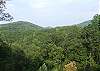 Enjoy a beautiful Mountain View from the decks of the cabin.  There are a lot of wildlife in the area.  You may see deer or turkey from the front deck.