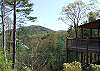 Another View from the Cabin you will enjoy during your stay.