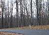 This cabin offers easy access with paved roads all the way to the cabin.  Enjoy the scenic mountain views as you drive in to the peaceful area where the cabin is located.