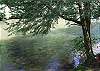 The river has many easy access areas for you to cool off during your stay.