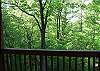 View of the backyard filled with nature at its best from the private master deck.