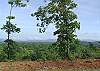 View viewing mountains in 3 states from this cabin.  From there you can view the  North Georgia Mountains, and also the Tennessee and North Carolina Mountains all from one spot.