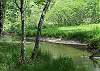 View of the Creek running in front of cabin has easy access which makes good fishing areas for your children to enjoy.