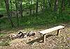 Enjoy roasting marshmellows or hot dogs by the fire at the firepit overlooking the creek below.