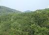 Enjoy the Mountain View from the Decks of the cabin and you will usually see many forms of wildlife during your stay.