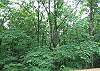 From the Hot Tub Deck you can enjoy watching many varieties of birds, squirrells and deer among the wooded area.