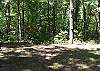 If your children are adventerous you will love this backyard.  It is a wonderful place to stay and play.
