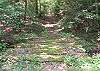 The entrance to the hiking trails in the park area invites you to come in and have an up-close look at nature.