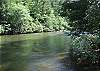 This is a serene view of the river just in front of the cabin.