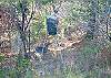 Enjoy watching the deer gather around the deer feeder located in the back yard at the cabin.
