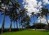 Alii Estate
