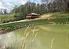 Lily Pad | Hocking Hills