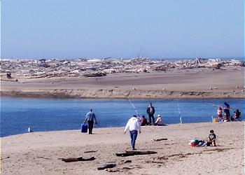 Fishing and Crabbing From the Beach!