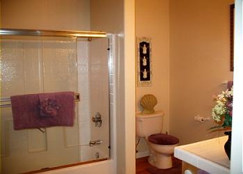 Guest Suite Bath