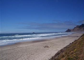 Walk to the base of Cascade Head
