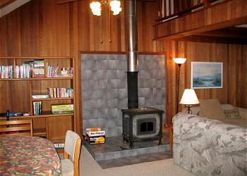 Wood Burnin Stove uses easy Presto-type Logs