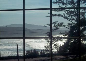 Surf, Forest and Beyond