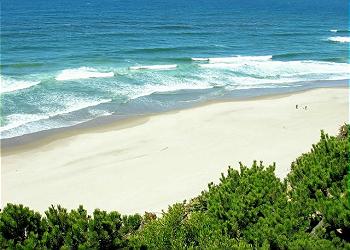 Ocean Views
