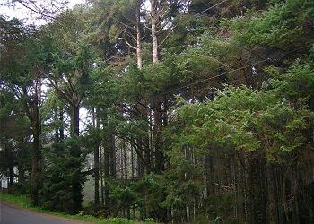 Agnes Creek
