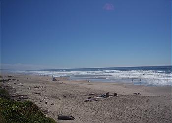 Year round beach walks await you