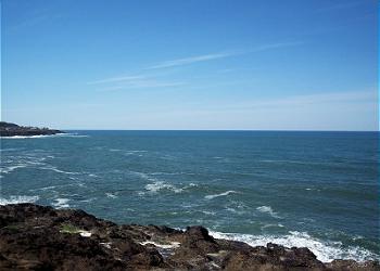Whale Watch Views