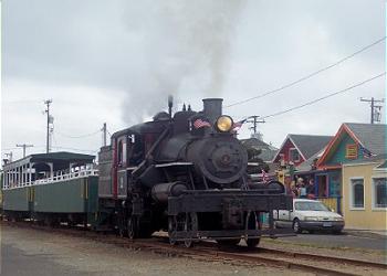 Take a Ride on The Train while in town!