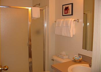 Bathroom with Shower