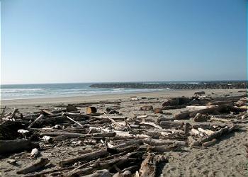Beach Exploration