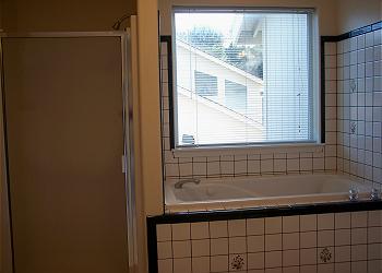 Jacuzzi Tub and Walk-In Shower