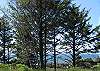 Terrific oceanview home pet friendly!