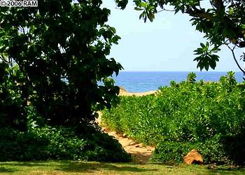 Pathway to beach